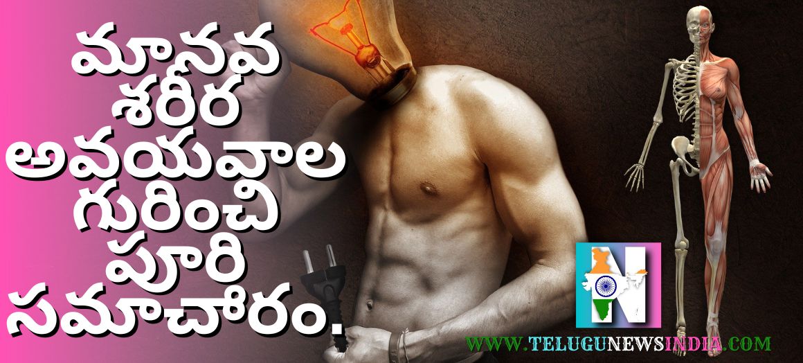 Complete-information-about-human-body-organs-in-telugu