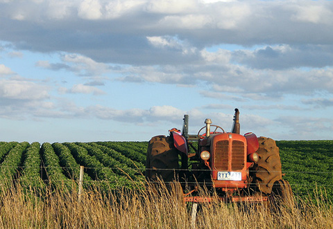 Mazzocco: evitato disimpegno fondi Psr per l'agricoltura