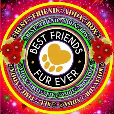 messenger group photo 20220930 161343 compress77