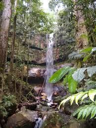 Taman Nasional Bukit Tiga Puluh