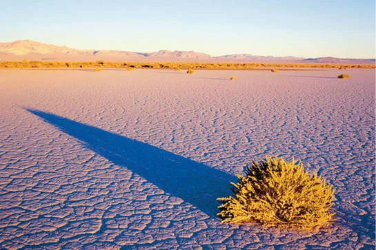 Top 10 Largest Deserts in the World