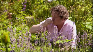 Gardening Together with Diarmuid Gavin Episode 6