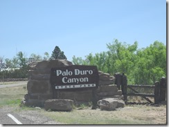 DSCN4919