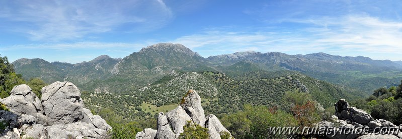 Cerros Albarracinejo-Peñuelas-Ponce-Albarracin y Alto del Puntal