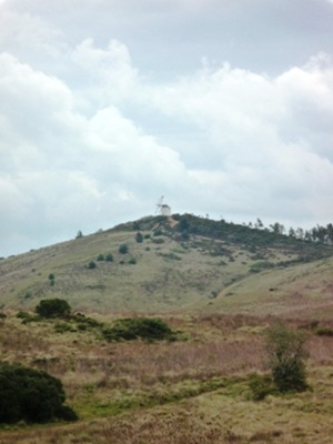 P1000706