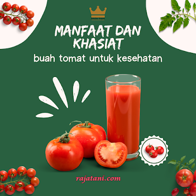 Manfaat dan Khasiat Buah Tomat untuk Kesehatan