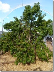 P1020217