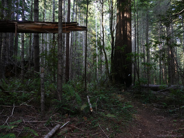 boundary sign on a big tree