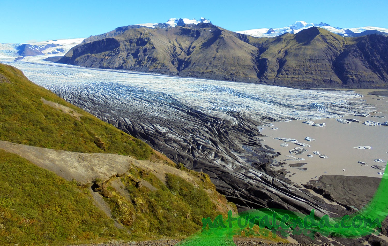 skaftafellsjökull