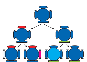 Heredity