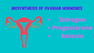 Biosynthesis of ovarian hormones डिटेल्स कवित्री प्रेमलता ब्लॉग एक कविता का ब्लॉग है जिसमे कविता, शायरी, poem, study guide से संबंधित पोस्ट मिलेंगे