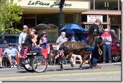 Pony and cart