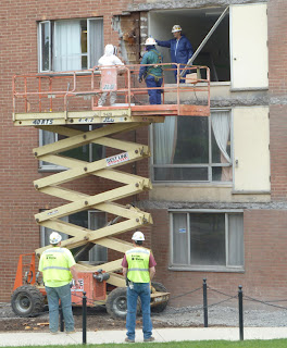 Workers preparing to extract honeybee colony