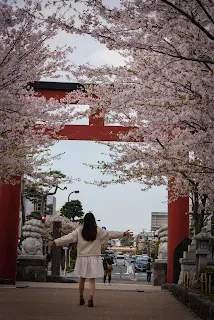 鎌倉三天兩夜必吃必喝必拍行程|灌籃高手景點|東京近郊