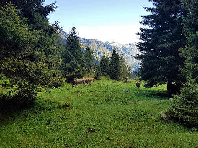 malga lincino valle adamé