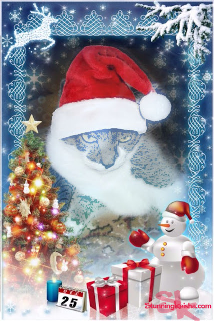 The Cat in the Santa Hat Art