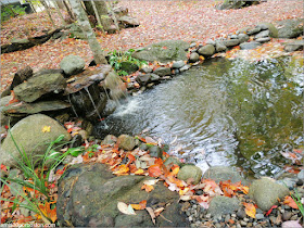 Zonas Comunes en Lakeside Cedar Cabins en Maine 