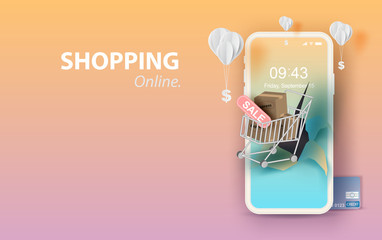 What Are Some Tips for Protecting Yourself When Shopping Online?