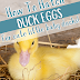 How to hatch duck eggs