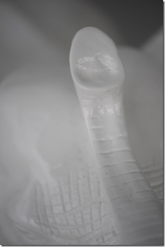 CLM_0995