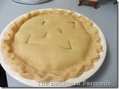 Apple Raisin Pie - The Backyard Farmwife