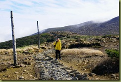 Zao Mr Kumano path DSC01604