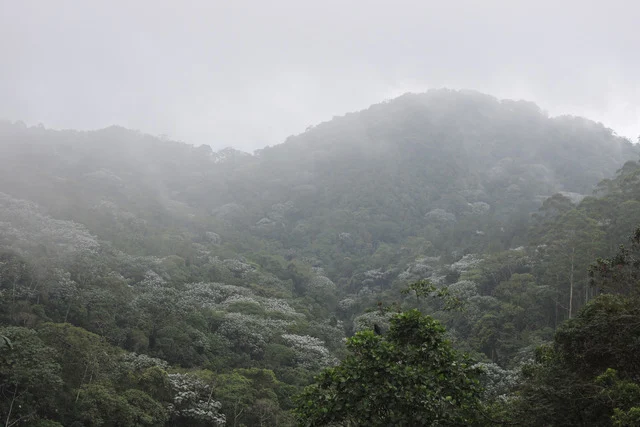 Aliados de la Cuchilla de San Juan articulan proyectos para la gestión efectiva del área protegida