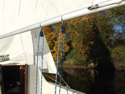 Sailing into Swan Cove