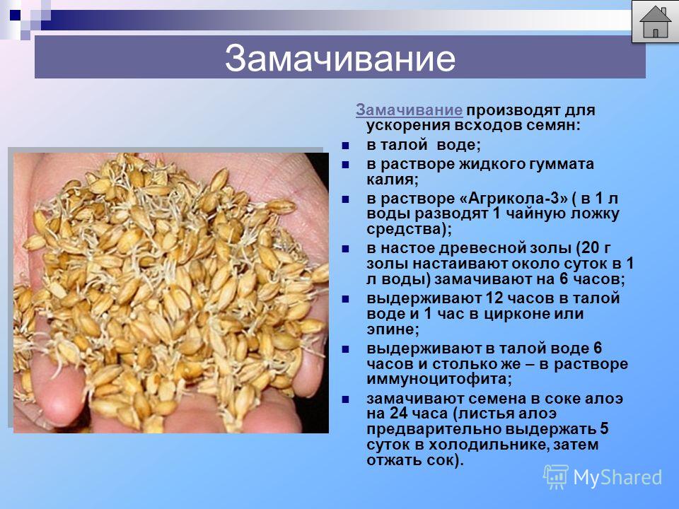 Замачивать ли морковь перед посадкой. Подготовка семян к посеву. Способы подготовки семян. Способы подготовки семян овощных культур к посеву;. Подготовка семян к посеву сортировка.