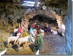 IMG_0529_1_1