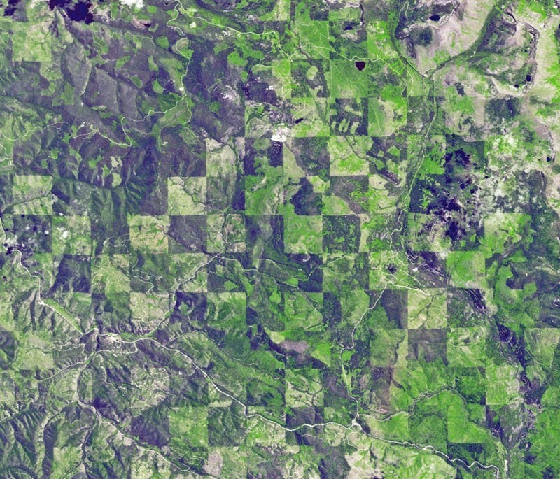 checkerboard-land-3