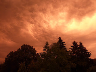 Ciel orangé à la tombée de la nuit