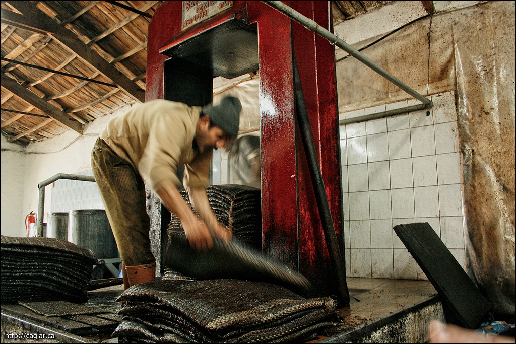 Zeytinyağı fabrikası