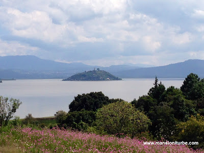 Mirasoles en la Ribera del Lago de Pátzcuaro, al fondo la Isla de Janitzio