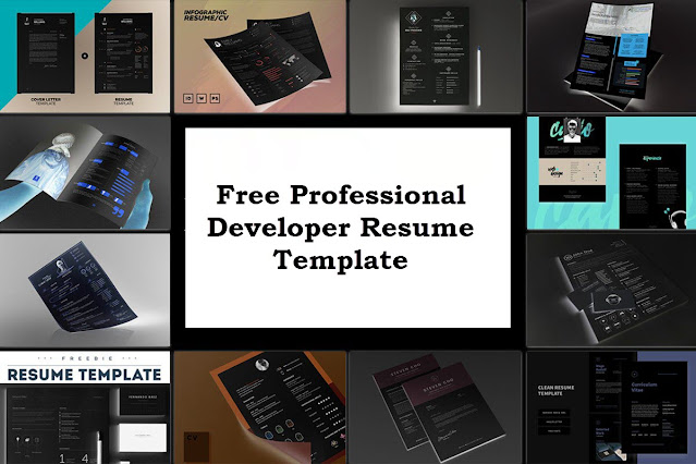 Free Professional Developer Resume Template