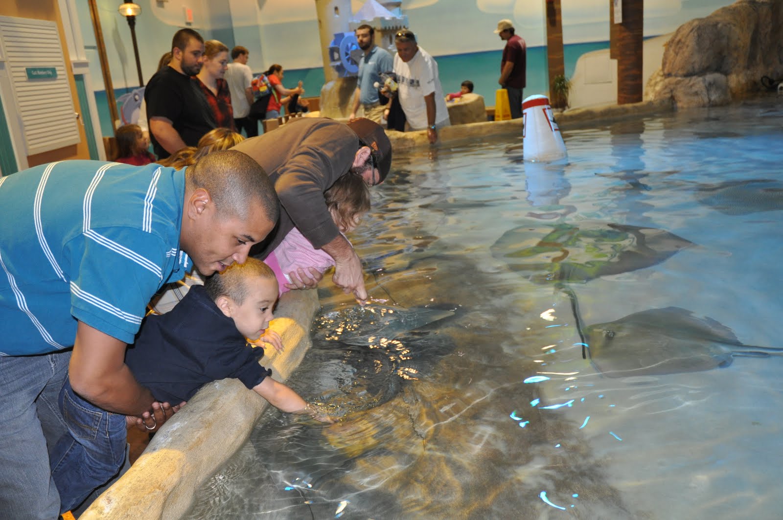 Taking on The World With Our Boy: Adventure Aquarium in Camden, New Jersey - ADventure%2BAquarium%2Bin%2BCamDen%2B038
