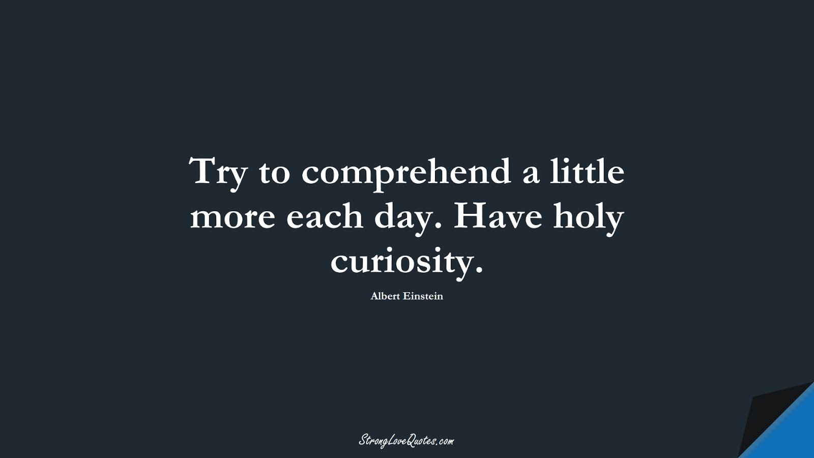 Try to comprehend a little more each day. Have holy curiosity. (Albert Einstein);  #KnowledgeQuotes