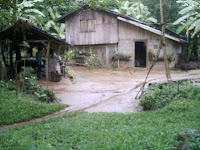 Travel in Bohol Philippines