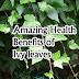 Amazing Health Benefits of Ivy leaves