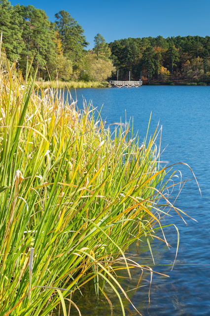 Tyler State Park Lake