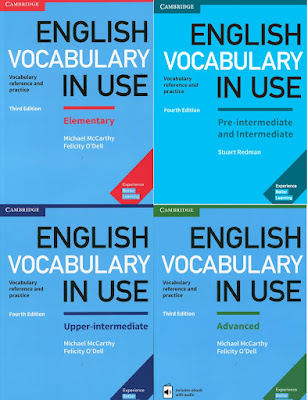 English Vocabulary In Use  pdf