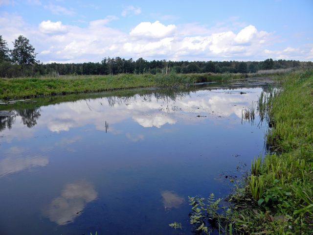 rzeka, fotografia przyrodnicza, przyroda