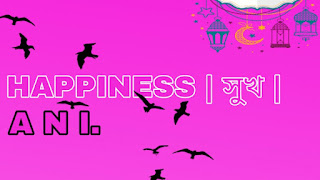 HAPPINESS | সুখ |