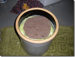 Sauerkraut 101 023