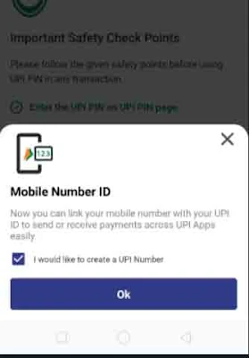 Mobile Number UPI