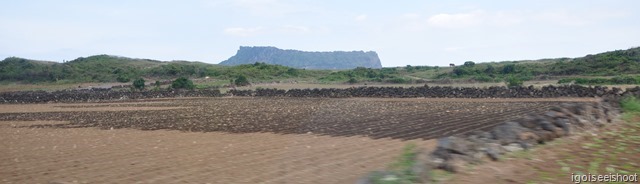 famous Sunrise Peak or Seongsan Ilchulbong 