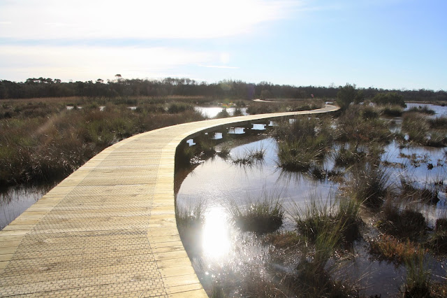 Warringine Wetlands, Hastings wooden boardwalk