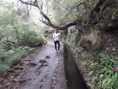 senderismo-madeira-levada-das 25-fontes-madeira-portugal