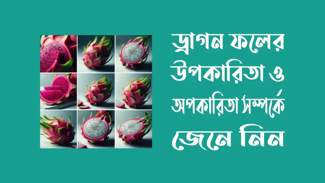 ড্রাগন-ফলের-উপকারিতা-ও-অপকারিতা-সম্পর্কে-জেনে-নিন