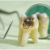 Major Disadvantages of Endodontic Processes